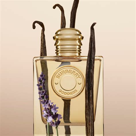 burberry erfume|Burberry perfume website.